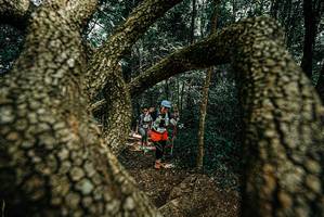 BIB: 
                            <button type="button" onclick="openModal(25703861)" class="btn btn-primary btn-sm float-right btn-popup" data-toggle="modal" data-target=".modal-high-quality">
                        <i class="fas fa-shopping-cart"></i> Add to Cart
                    </button>
                                            <button type="button" onclick="isThisMe(25703861, true)" class="btn btn-success btn-sm float-right btn-popup btn-isme hidden" data-toggle="tooltip" data-placement="bottom" title="นี่คือรูปของคุณใช่ไหม คลิกที่นี่เพื่อเอาเข้าอัลบั้ม">
                        <i class="fas fa-plus"></i> Add to album
                    </button>
                    <button type="button" onclick="isThisMe(25703861, false)" class="btn btn-warning btn-sm float-right btn-popup btn-isnotme hidden">
                        <i class="fas fa-ban"></i> Remove from album
                    </button>